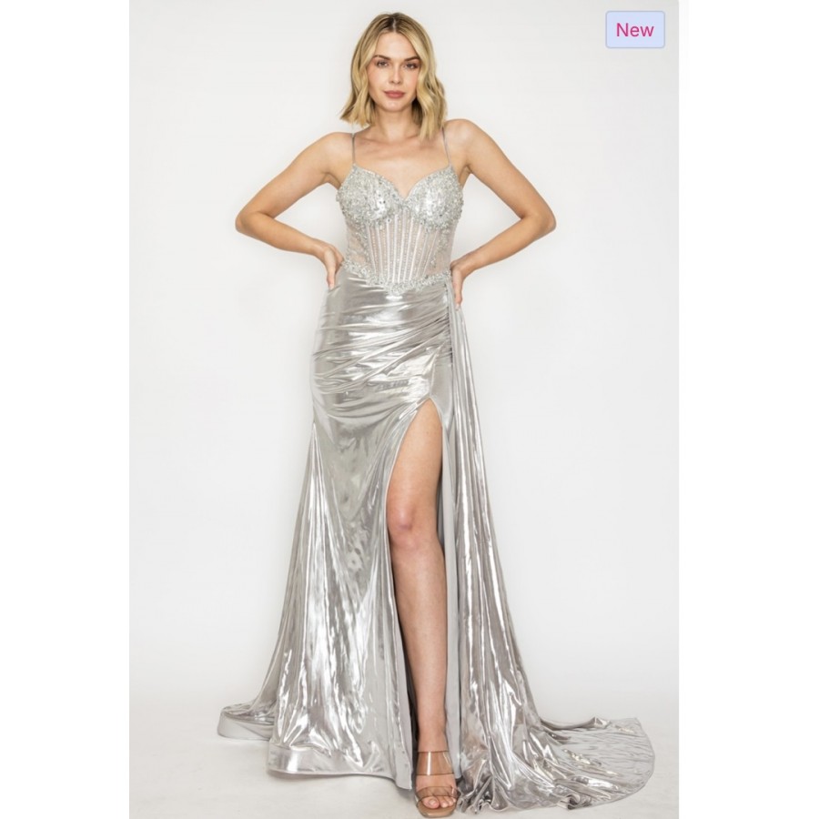 HC1026 SILVER